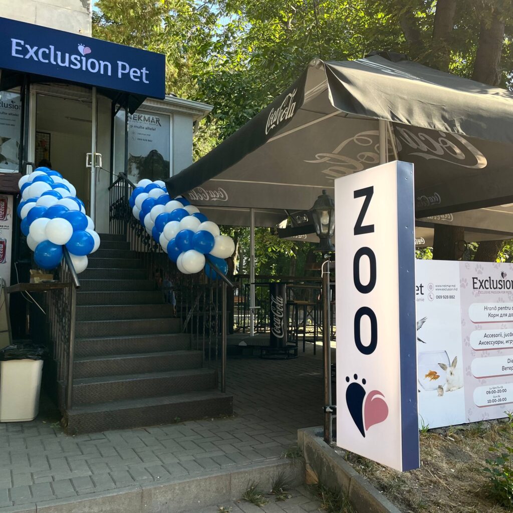 photo_2025-09-02_18-03-44