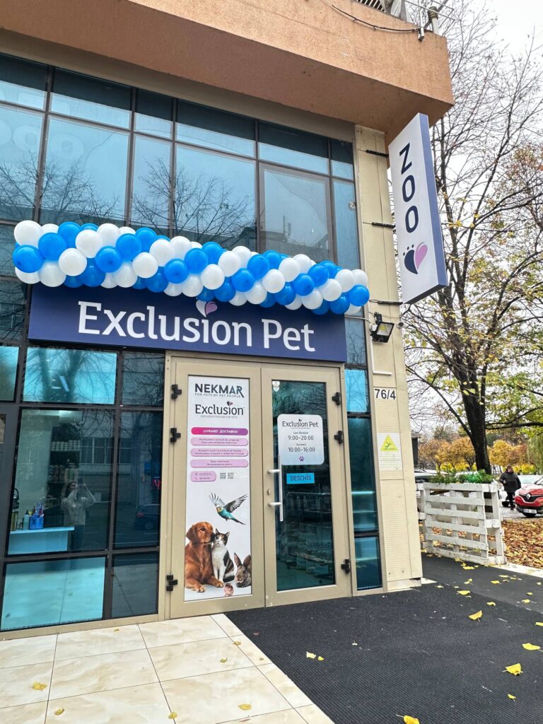 photo_2025-11-17_11-34-43